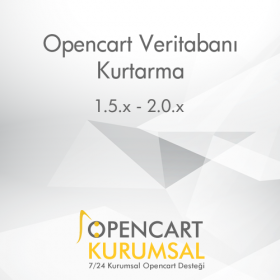 Opencart Veritabanı Kurtarma